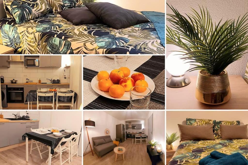 Appartement Zenith - Cartoucherie - Purpan à Toulouse Extérieur photo